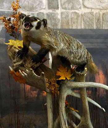 Larger version of the smaller images to the left